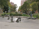 Photo Album: Seals Live Year-Round in the East River Esplanade