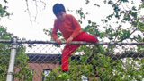 Emmett Climbs Over A High Fence Emmett Climbs Over A High Fence